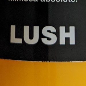 Reserved For caryolynchamness